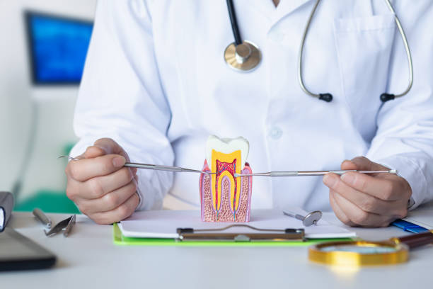 Best Emergency Wisdom Tooth Extraction in Baraboo, WI